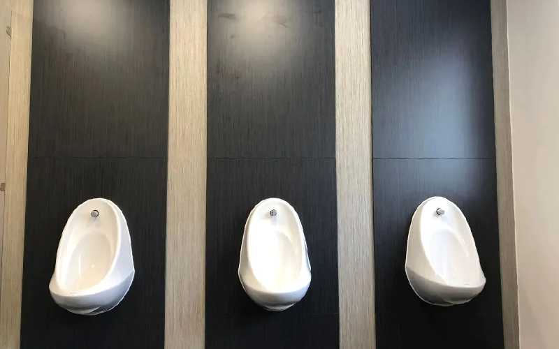 King Arthur’s School - Urinals