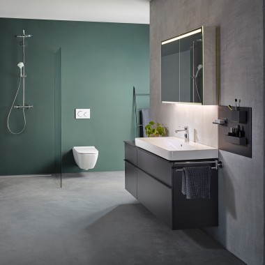 Geberit Wash Basins, Toilets and Flush Controls 