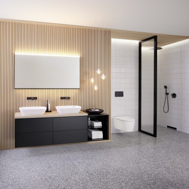 Geberit Wash Basins, Toilets and Flush Controls 