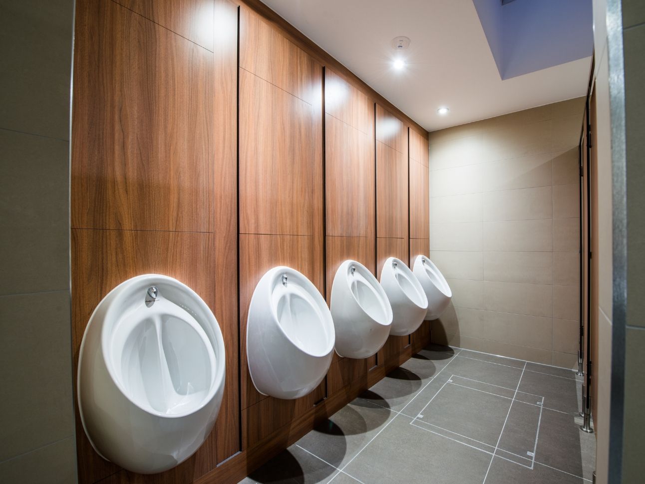 Concealed cistern urinals