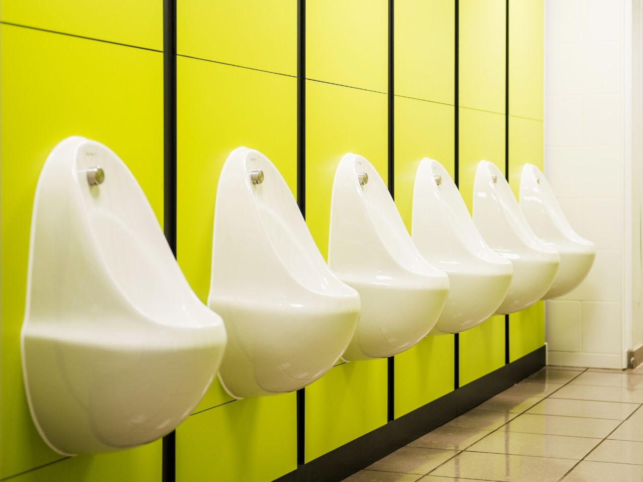 Theme Park Toilet Block Refurbishment | Commercial Washrooms